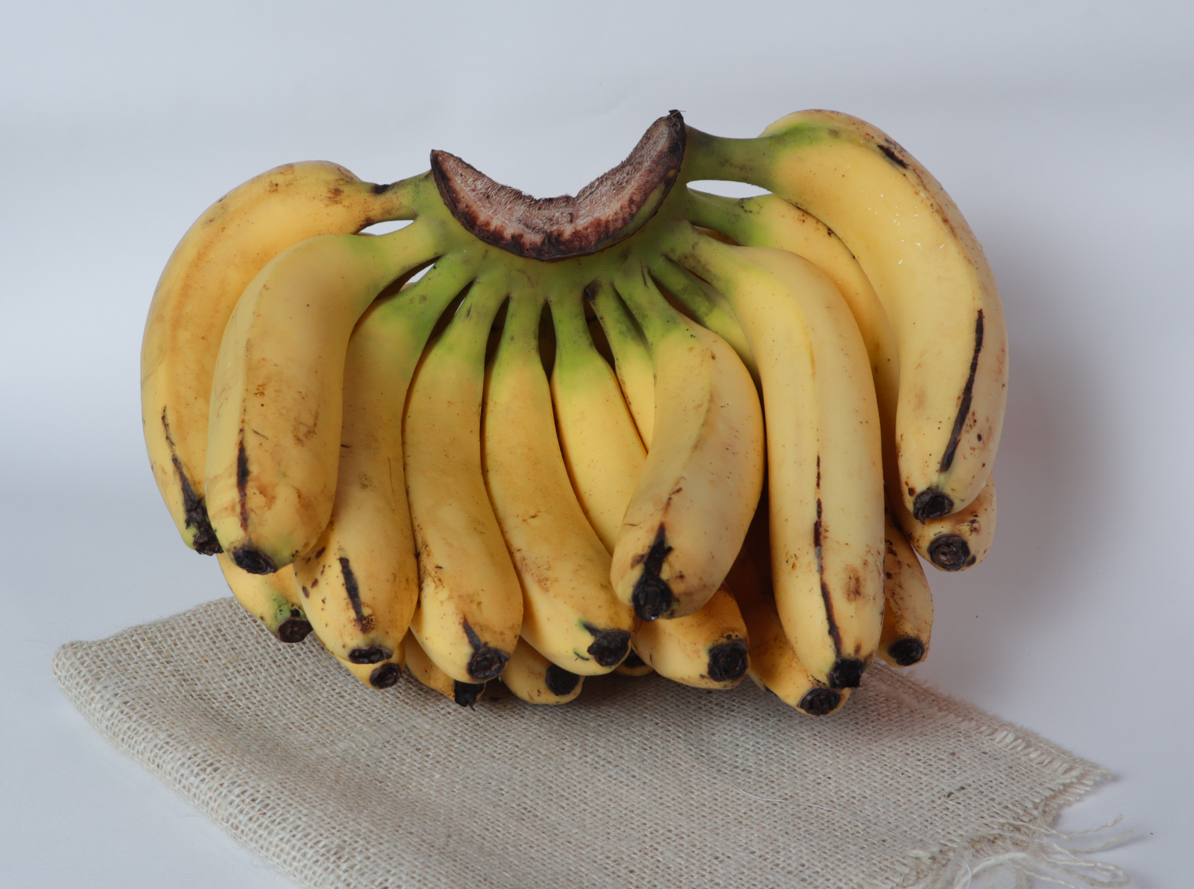 agnija_Banana_1744989463.jpg