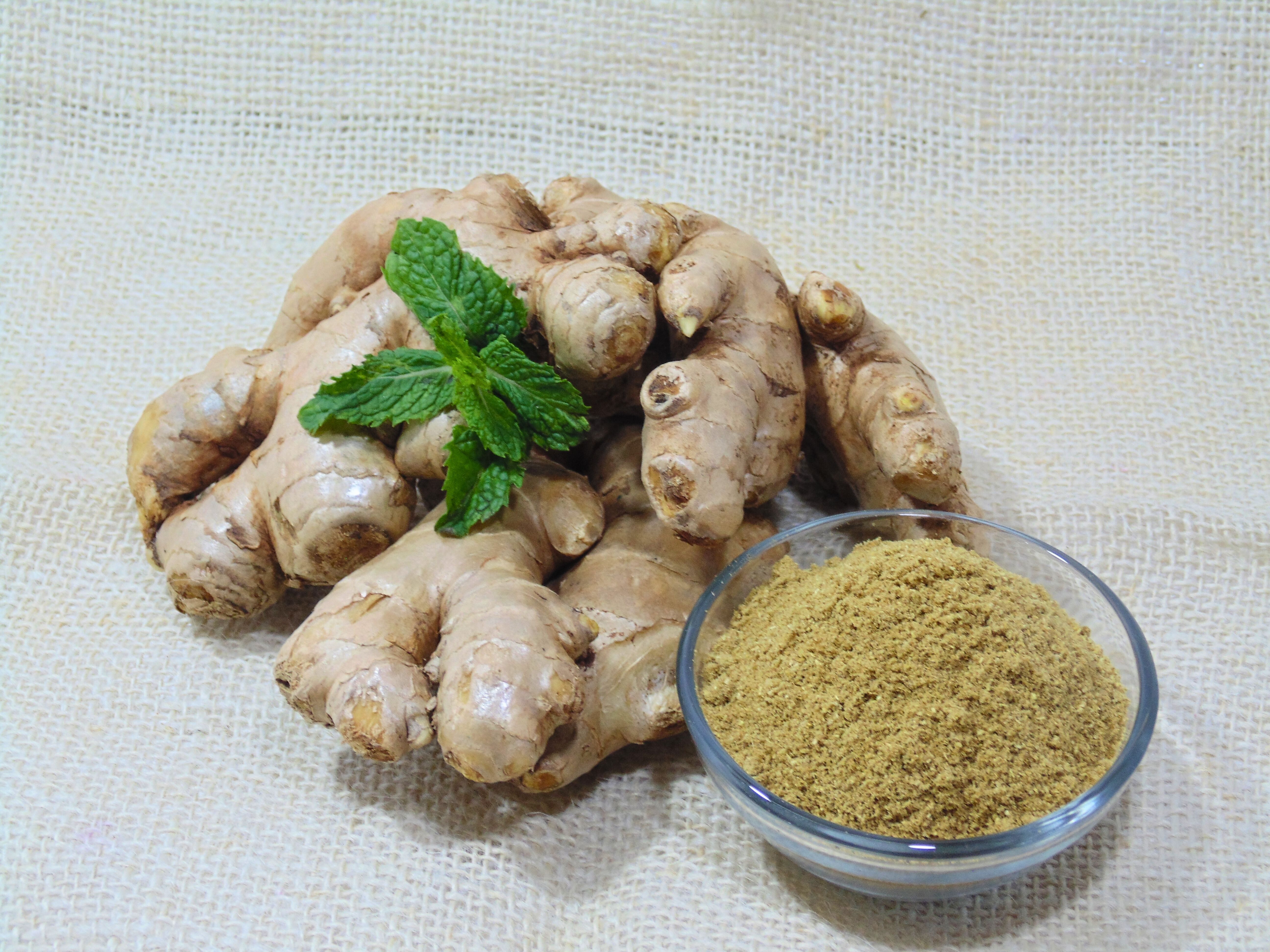 agnija_GINGER_1745041944.JPG