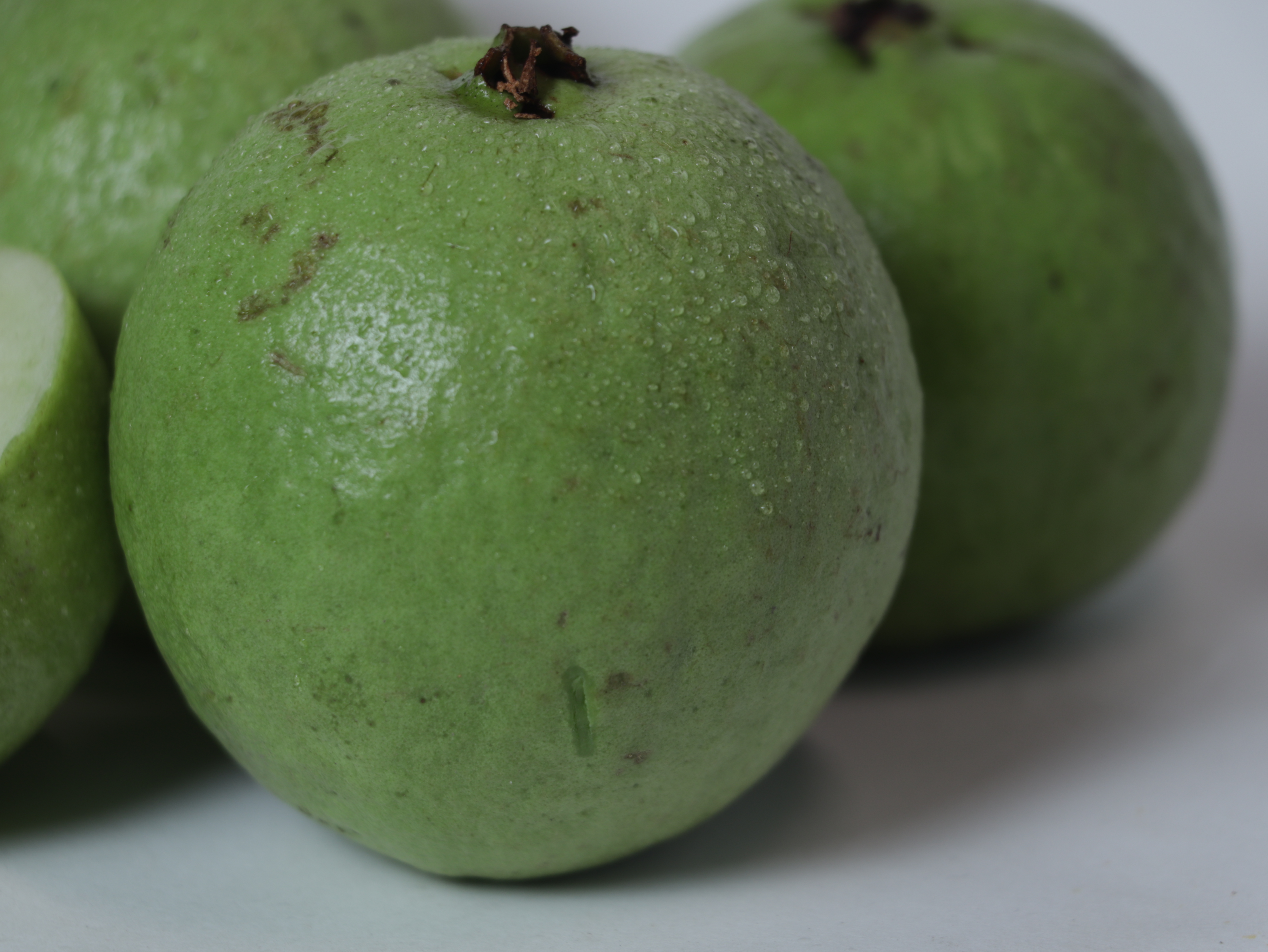 agnija_GUAVA_0_1745039452.JPG