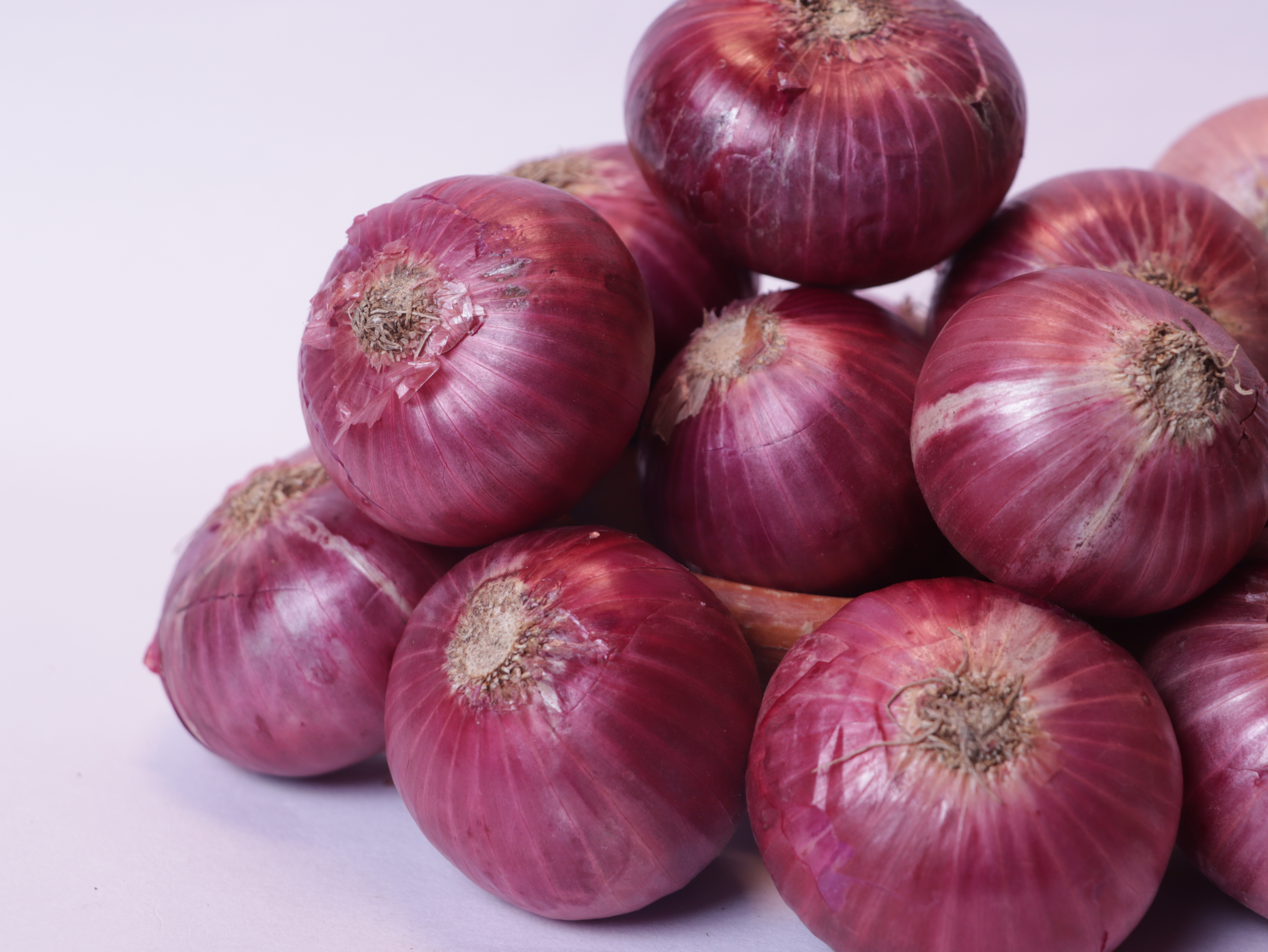 agnija_ONION_0_1745040329.JPG