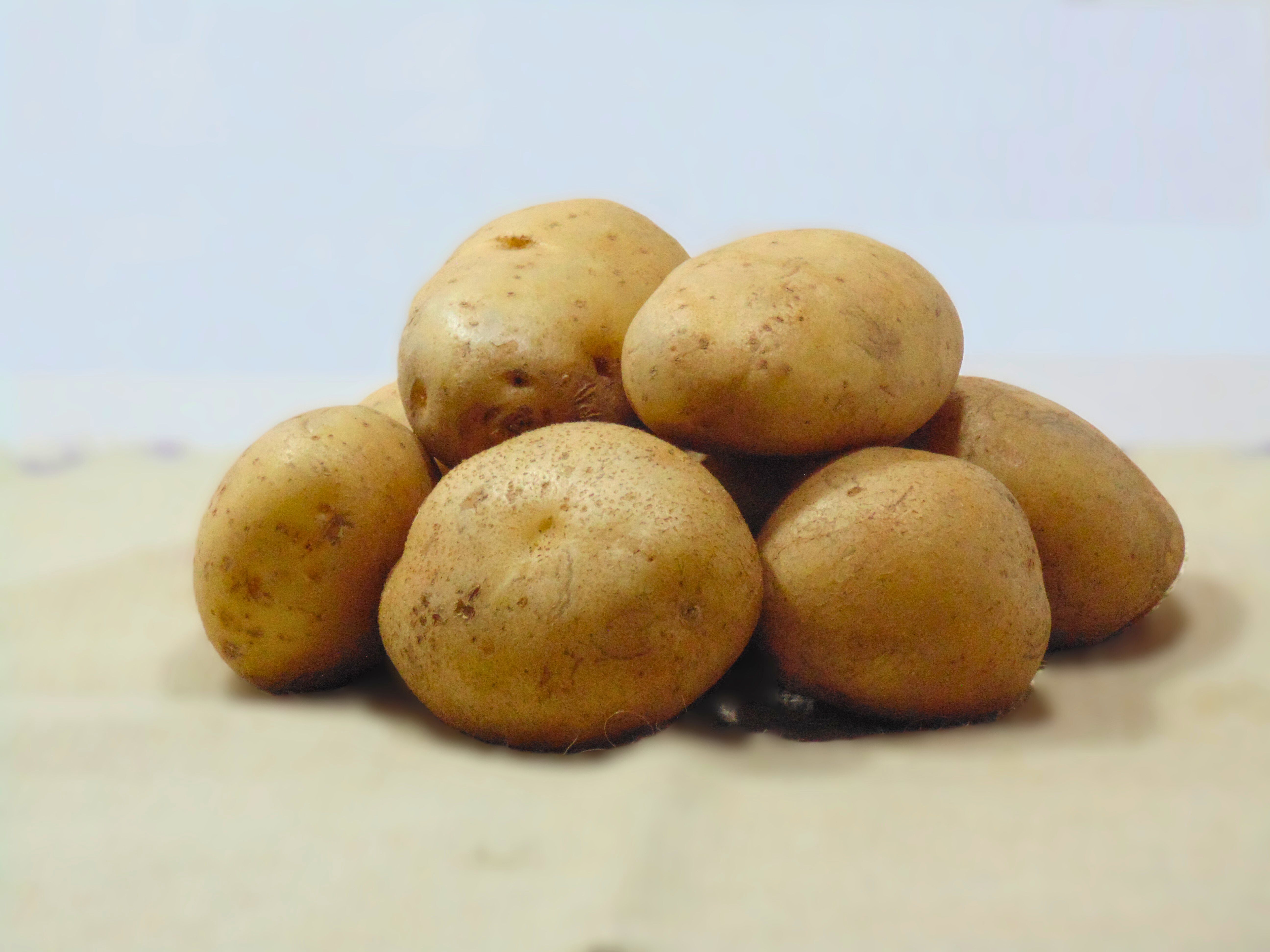 agnija_Potato_1745041998.JPG