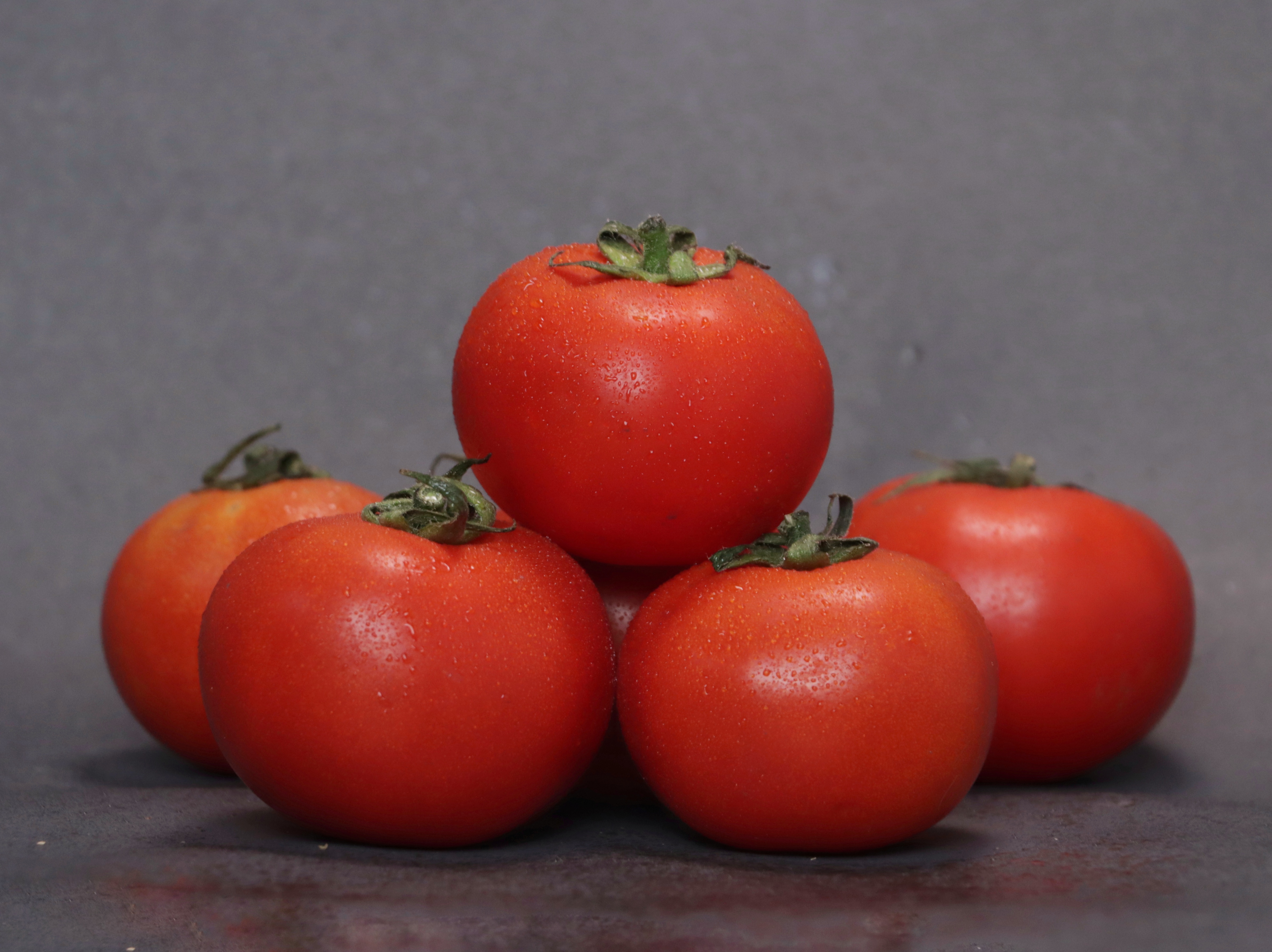 agnija_TOMATO_1745040993.JPG